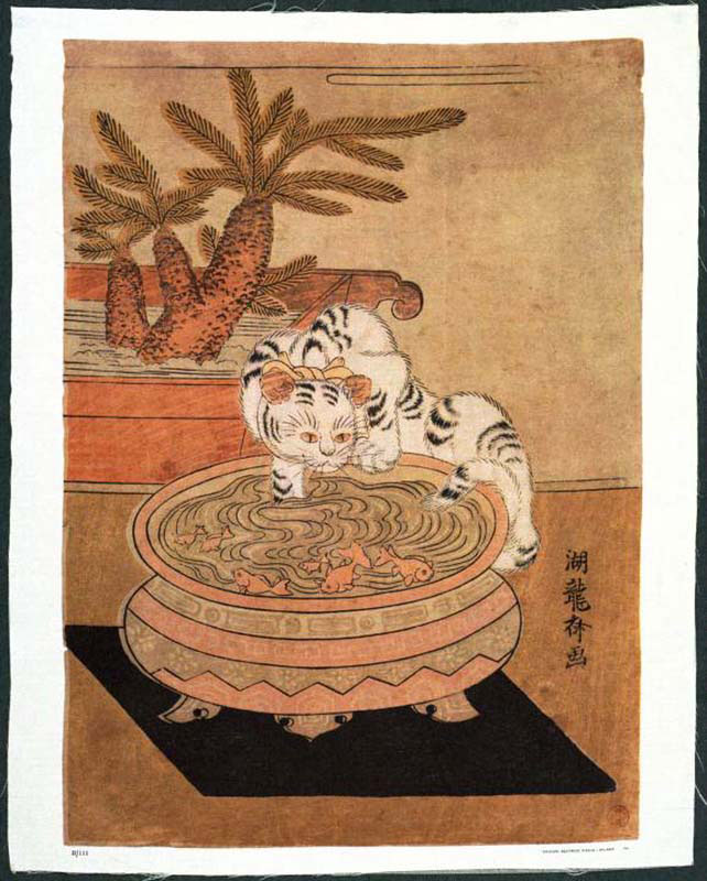 Cat Fishing in Fishbowl